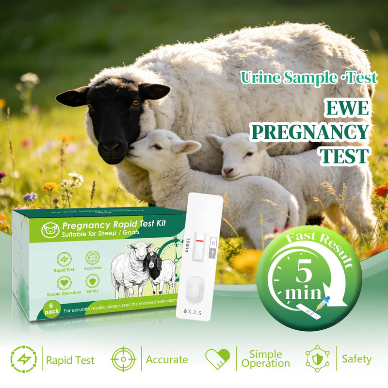 6-Pack Sheep & Goat Pregnancy Test Strips - Fast 5-10 Minute Urine Detection Kit for Early Breeding Confirmation, Accurate Livestock Testing for Home Farms 6 Pack