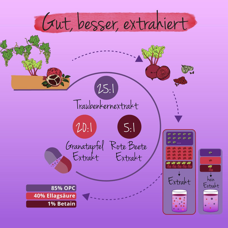 [Australia] - OPC Trio | High-dose Italian grape seed extract | With pomegranate & beetroot extract | Antioxidants | Vegan & No Additives | 120 capsules | German production of Vegavero® 