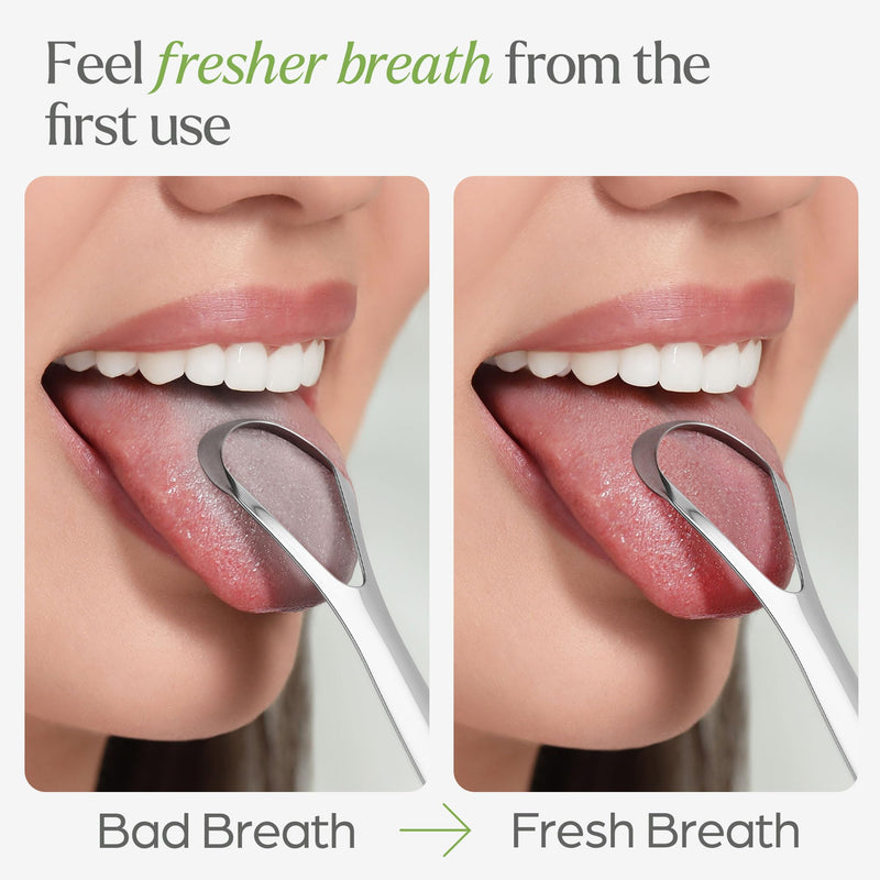 [Australia] - Tongue Scraper for Adults with Holder (2 Pack) - Metal Tongue Scraper for Tongue Cleaning and Reducing Bad Breath - Stainless Steel Tongue Scraper for Adults, Tongue Cleaner for Adults 