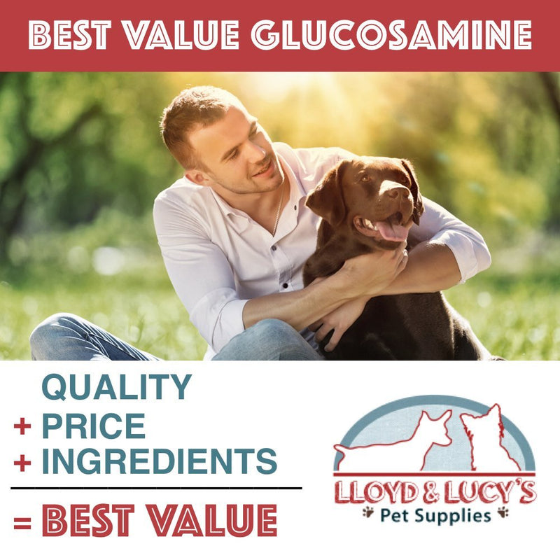 Lloyd & Lucy's Hip and Joint Supplement for Dogs - Chewable Multivitamin with Glucosamine, Chondroitin, MSM and Vitamin C - Healthy Liver Flavored Treat Pets Will Love - 180 Ct Tablets 180 Chewable Tablets - PawsPlanet Australia
