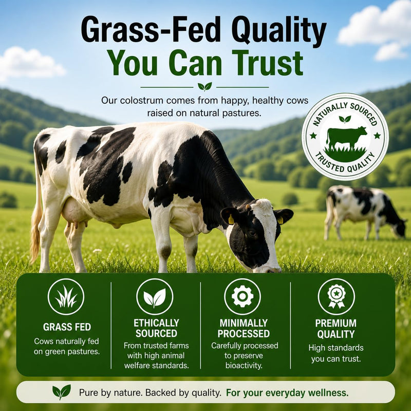 Colostrum Powder | 100 Servings | 50% IgG | Freeze-Dried | First 4-6 Hour Milking Grass Fed Colostrum - Bovine Colostrum, Gut Health Bloating Immunity Skin & Hair, Keto, Gluten & Fat Free (3.5 Oz)