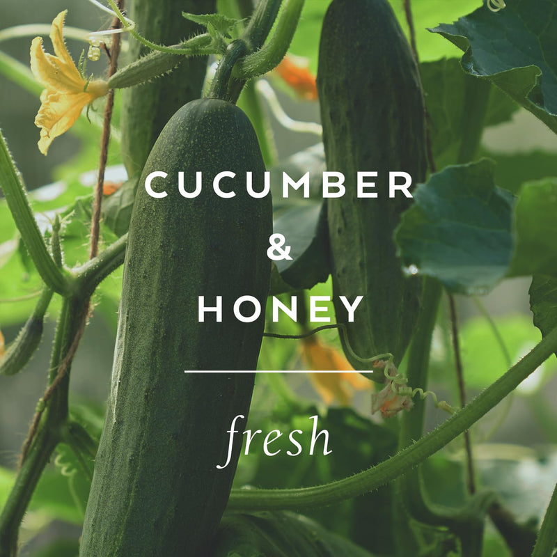 [Australia] - The Cottage Greenhouse Cucumber & Honey Handcreme, 4 oz, Hydrating & Moisturizing Hand Cream for Dry, Cracked Hands, Luxury Purse Essential Lotion for Women 
