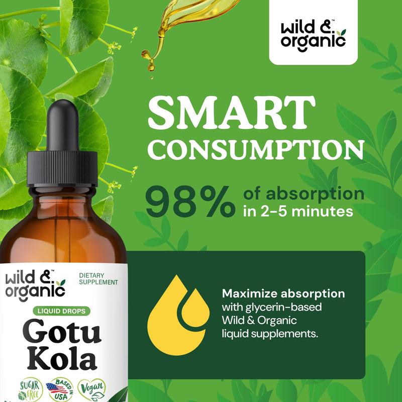 [Australia] - Wild & Organic Gotu Kola Extract Drops - Brain Support with Centella Asiatica Extract - Liquid Gotu Kola Supplement for Focus - Vegan, Sugar & Alcohol-Free Herb Tincture - 4 fl oz 4 Fl Oz (Pack of 1) 