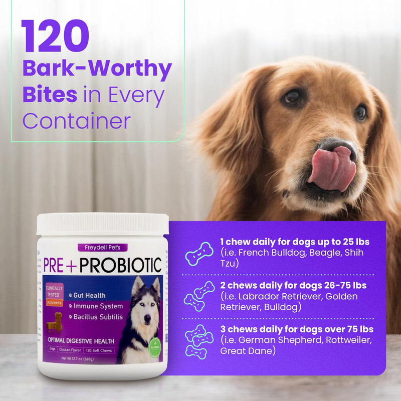 FREYDELL Pets Probiotics for Dogs Dog Upset Stomach Relief Dog probiotic, Fiber Supplement for Dogs, Yeast Infection Treatment for Dogs & Dog Diarrhea Medication, Probiotic for Dogs of All Ages. - PawsPlanet Australia