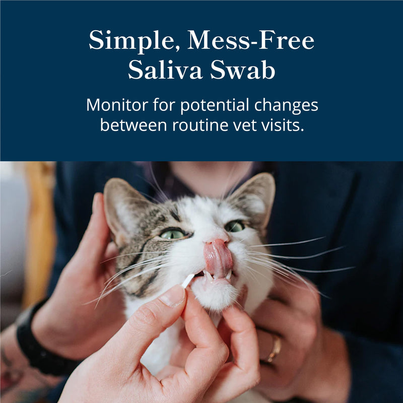 [Australia] - Petivity at-Home Oral Health Test for Cats and Dogs, Powered by Purina- (Pack of 1) 
