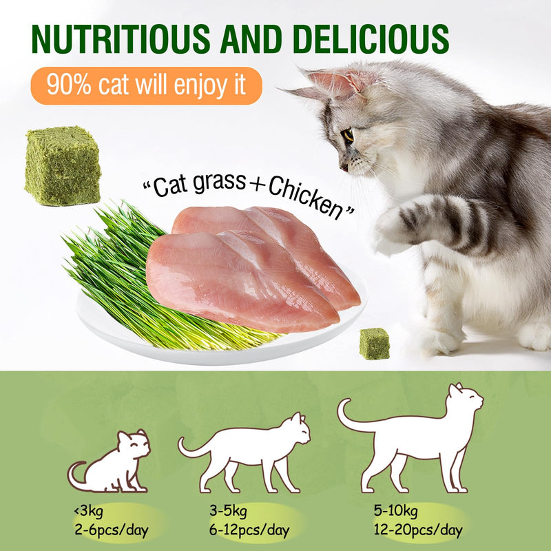 60g/2.12oz Cat Grass Teething Toy Hairballs,Chew Treats for Cats,Edible Cat Chew Toys,Natural for Cats,Teeth Cleaning and Hairball Removal - PawsPlanet Australia
