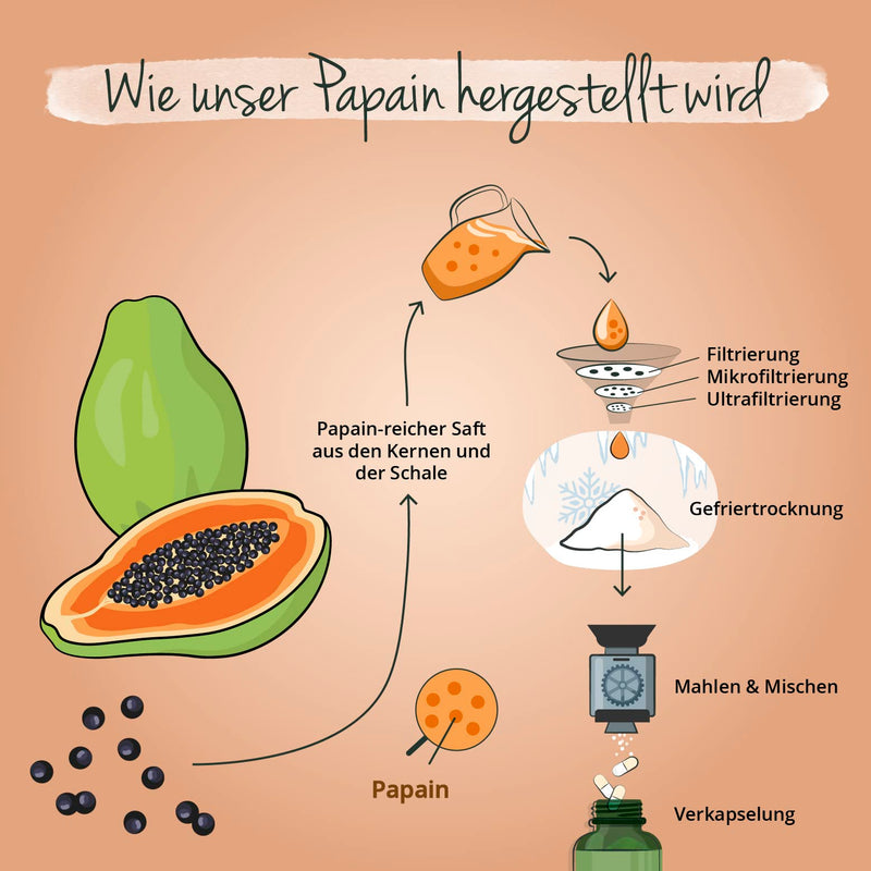 [Australia] - Papaya enzyme Vegavero® | High dose: 2,100 mg of pure papain per daily dose | High enzyme activity: 100,000 units/g | Naturally from the fruit| 120 capsules | Vegan & without additives 