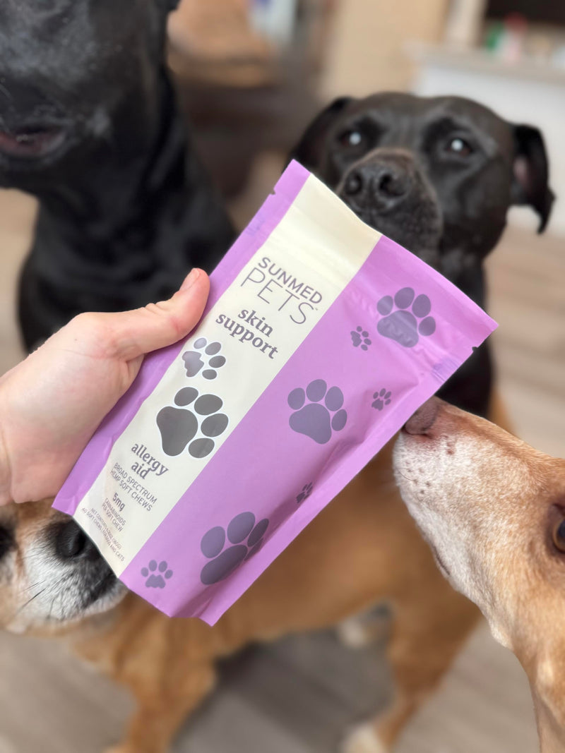 Skin Support Dog Allergy Relief Chews with Nettle, Quercetin & Green-Lipped Mussel - Natural Seasonal Dog Allergy Chews to Soothe Skin & Support Health, 40 Count - PawsPlanet Australia