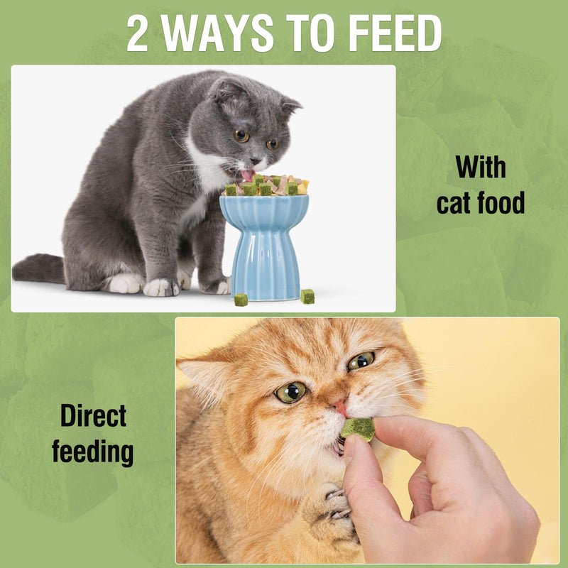 60g/2.12oz Cat Grass Teething Toy Hairballs,Chew Treats for Cats,Edible Cat Chew Toys,Natural for Cats,Teeth Cleaning and Hairball Removal - PawsPlanet Australia