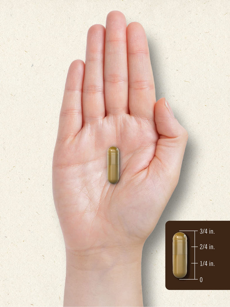 [Australia] - Carlyle Bee Propolis Capsules 600mg | 150 Count | Extract Supplement | Non-GMO, Gluten Free 