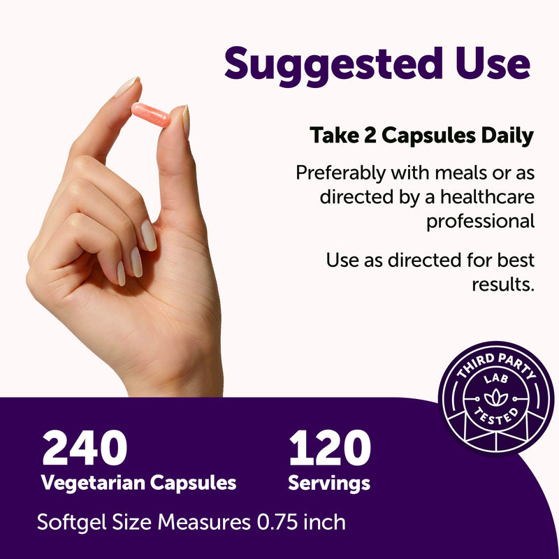 Micro Ingredients PQQ 40 mg Per Serving, 240 Vegetarian Capsules | 3-in-1 Pyrroloquinoline Quinone with CoQ10 & NAD+ | Non-GMO, Gluten Free