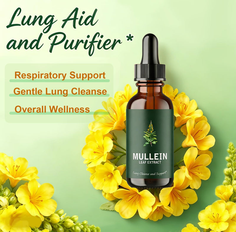 Mullein Leaf Extract Liquid Drops 2-Pack with Chlorophyll, Super Concentrated Tincture for Lung Cleanse & Respiratory Health, Fast Absorption Alcohol-Free Herbal Supplement for Adults