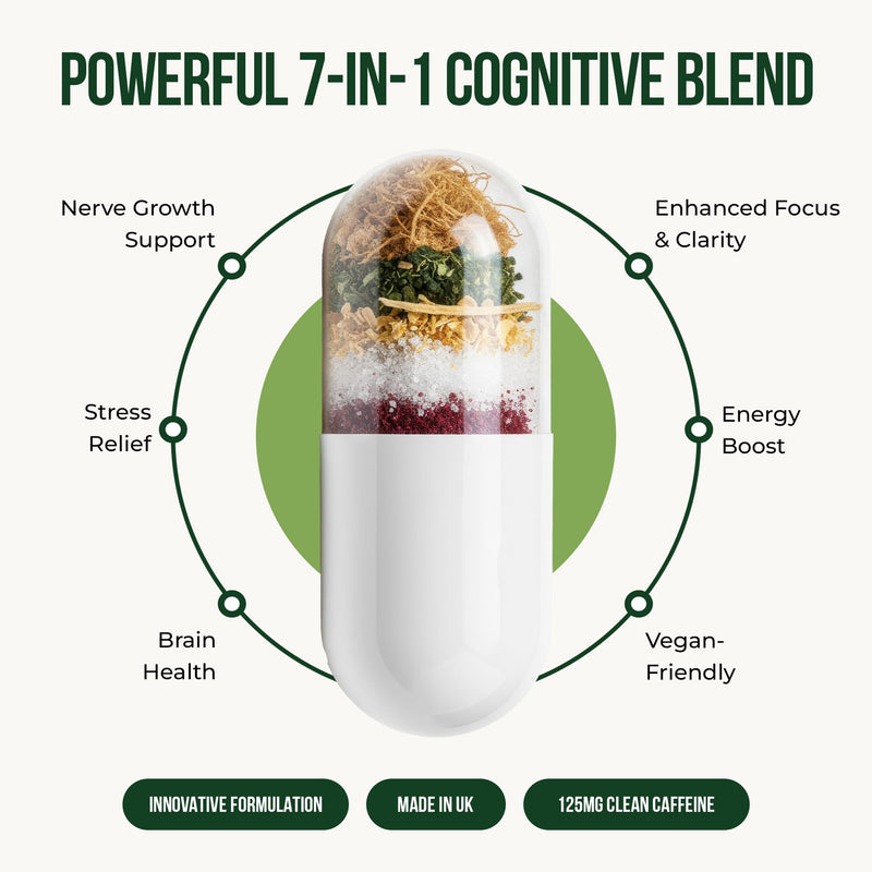 AM 7-in-1 Nootropic Brain Supplement | Support Cognitive Function, Focus & Mental Performance | with Lion’s Mane, Caffeine (125 mg) & Acetyl L-Carnitine | 30 Vegan Capsules | UK Made