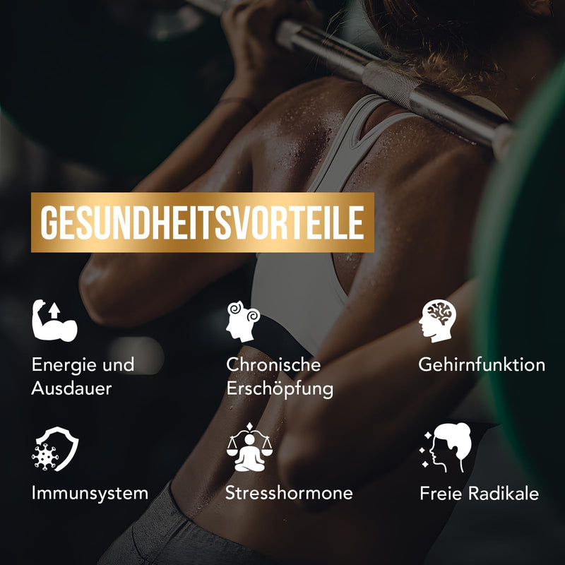 [Australia] - Shilajit Original Himalaya Shilajit Resin with Fulvic Acid & Trace Minerals - 100% Pure Golden Quality, No Additives (Pack of 1) 