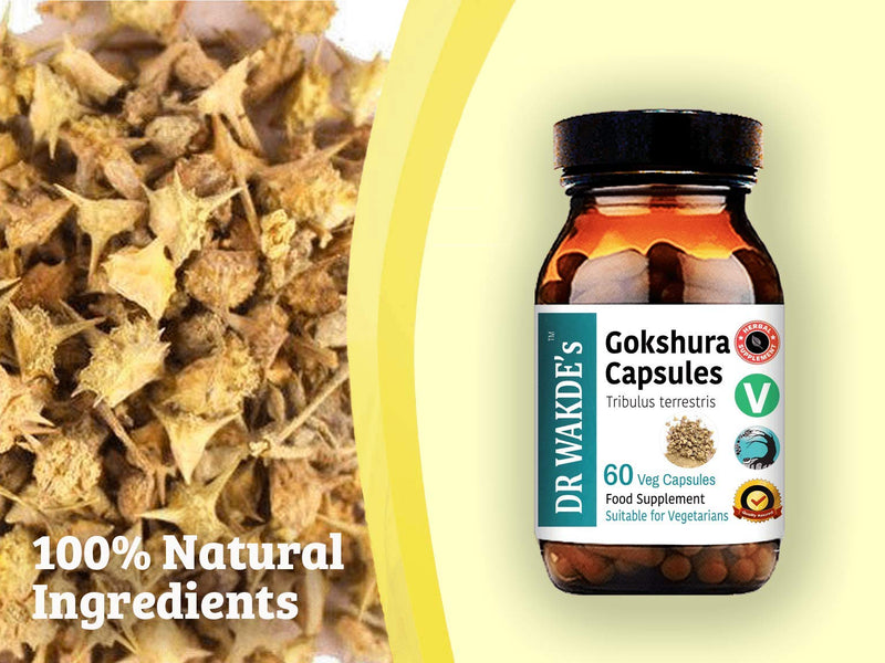 [Australia] - DR WAKDE'S Gokshura Capsules (Tribulus terrestris) - 60 Veg Caps | 100% Pure, All-Natural Supplement | Vegan, Plant-Based, Supports Vitality and Urinary Health 