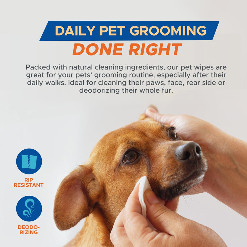 MED PRIDE Pet Wipes for Dogs & Cats [Pack of 60]- Hypoallergenic Cleaning Deodorizing Dog Wipes with Aloe Vera- Alcohol and Paraben-Free Pet Wipes- Extra Soft Cat Bathing Wipes for Fur Pack of 60 - PawsPlanet Australia