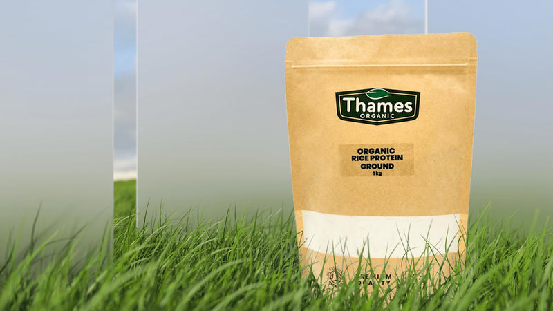 Thames Organic Organic Rice Protein Ground: Premium Plant-Based Protein for Health & Fitness Enthusiasts - Vegan-Friendly 1kg