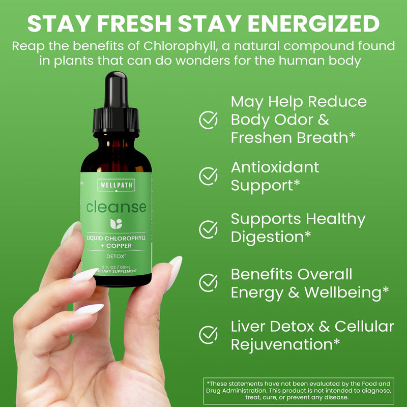 [Australia] - WellPath Chlorophyll Liquid Drops with Copper - High Potency Vegan Liquid Chlorophyll for Body Odor, Liver Detox, Digestion Support & Immune Support - Internal Deodorant, Made in USA, Non-GMO, 2 Fl Oz 2 Fl Oz (Pack of 1) 