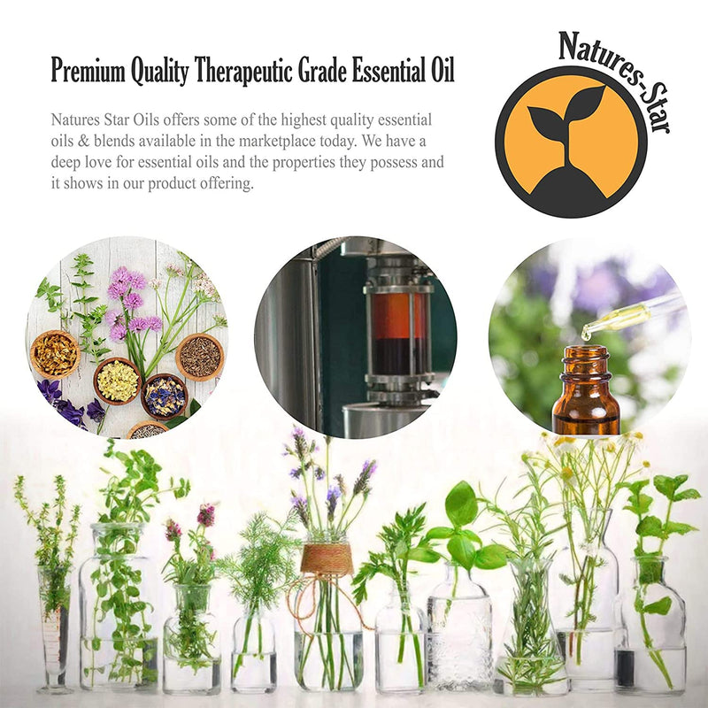 [Australia] - Bulk Size Lavender Essential Oil (16 Ounce Bottle) Therapeutic Grade Essential Oil - 16 Fl Oz - Essential Oils Big Bottle - Essential Oils for Candle Making - Lavender Diffuser Oil 16 Fl Oz (Pack of 1) 
