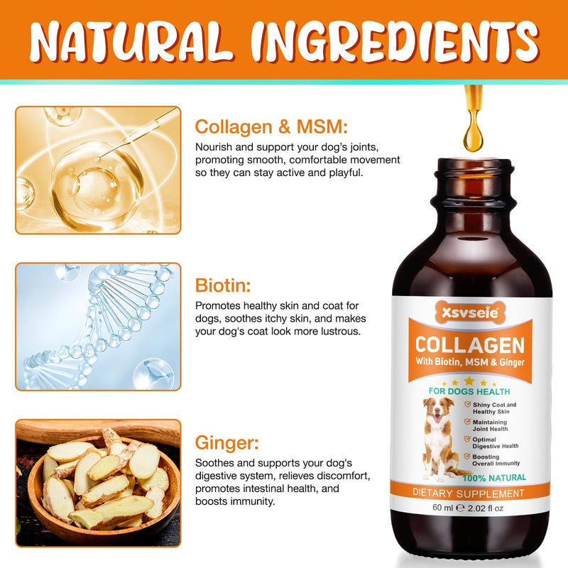 Liquid Collagen for Dogs Added Natural Pet Probiotics, Enhance Joint Support and Mobility, Collagen for Dogs Relieve Pet Skin Allergies, Itching, Supports Joint, Skin & Coat Health, All Breeds & Ages