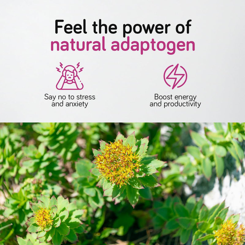 Rhodiola Rosea Capsules High Strength 500mg - 120 Capsules - 3% Salidrosides - Premium Rhodiola Root Extract - 4 Months Supply | Ambervit