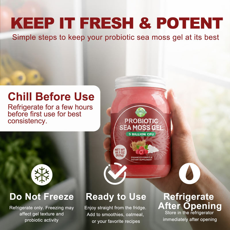 Sea Moss Gel with 5B CFU Probiotic for Digestive Support Raspberry 18.5oz | Irish Wildcrafted Seamoss Gel Raw Rich In Vitamins & Minerals Vegan Non-Gmo Gluten-Free 18.5 Fl Oz (Pack of 1)