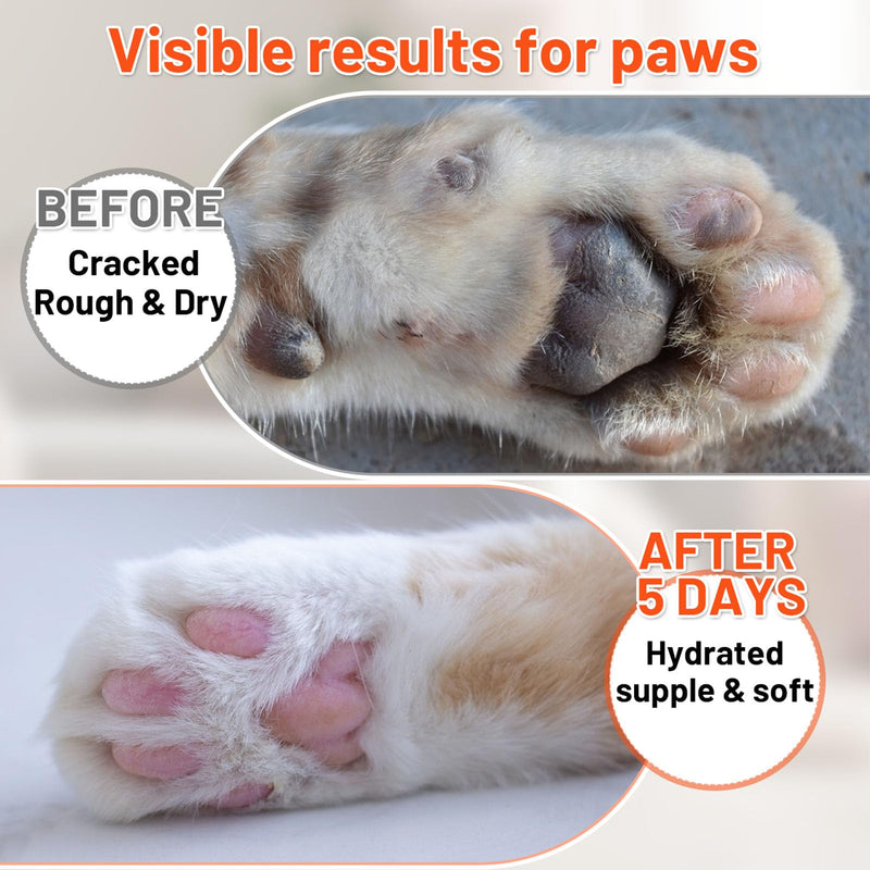 [Australia] - Dental Powder & Pet Teeth Cleaning Powder Kit for Dogs & Cats – Complete Oral Care Kit for Clean Teeth & Fresh Breath – Includes Dog Paw Balm, Nose Balm & Protective Paw Wax 1.76 Ounce (Pack of 1) 