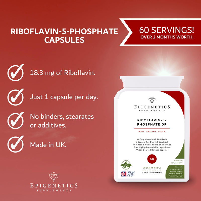 Riboflavin-5-Phosphate Delayed Release (DR) | High Strength Vitamin B2 R5P 18.3mg Per Serving | 60 Vegan Friendly Capsules UK Made | Long 2 Month Supply