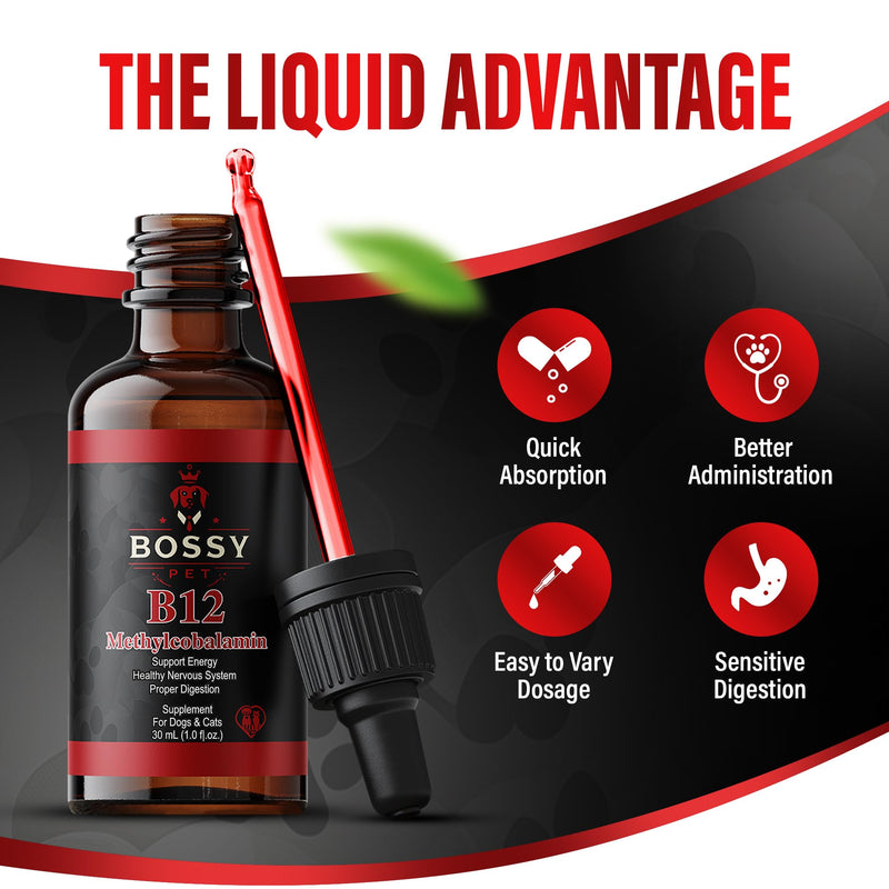 Vitamin B12 for Dogs & Cats - Liquid Supplement for Dogs & Cats - Vet-Formulated Methylcobalamin Drops - Supports Energy, Nerve Function & Appetite - Fast-Absorption- Easy to Administer.