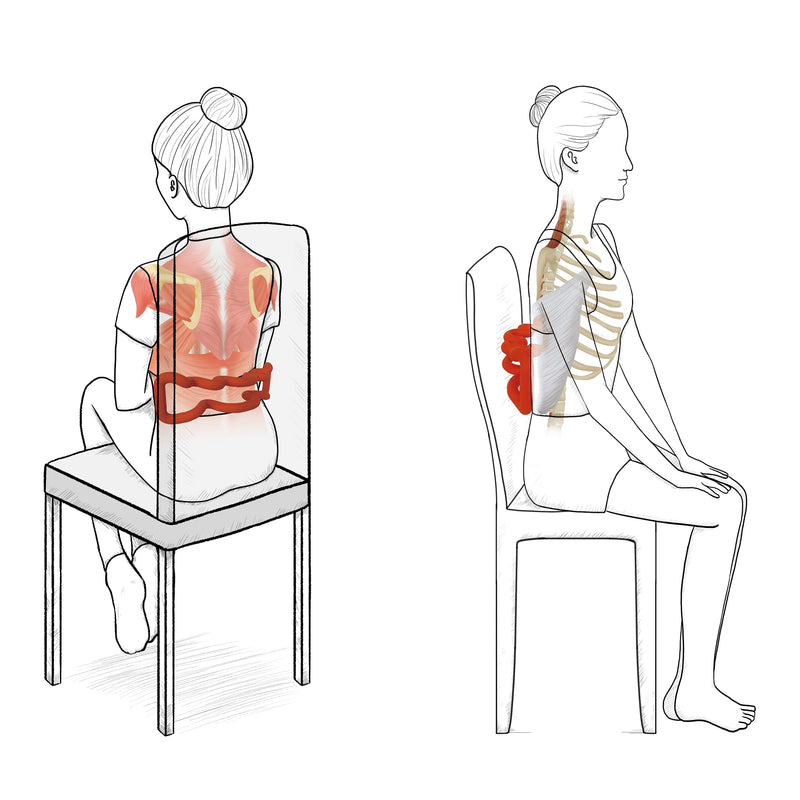 [Australia] - Back Deep Tissue Massager, Back Stretcher, Relieve Low Back Pain, Middle Back Pain and Sciatica, Athletes Muscle Recovery Tool 