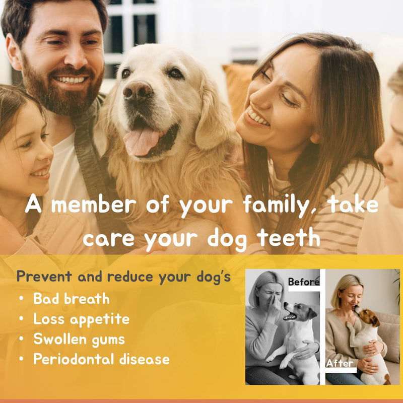 [Australia] - Dog Plaque and Tartar Remover - Electric Plaque Remover for Teeth with 5 Modes, LED Light, Safe Tooth Cleaner Dog Teeth Cleaning Kit Dental Care Tool for Pets 
