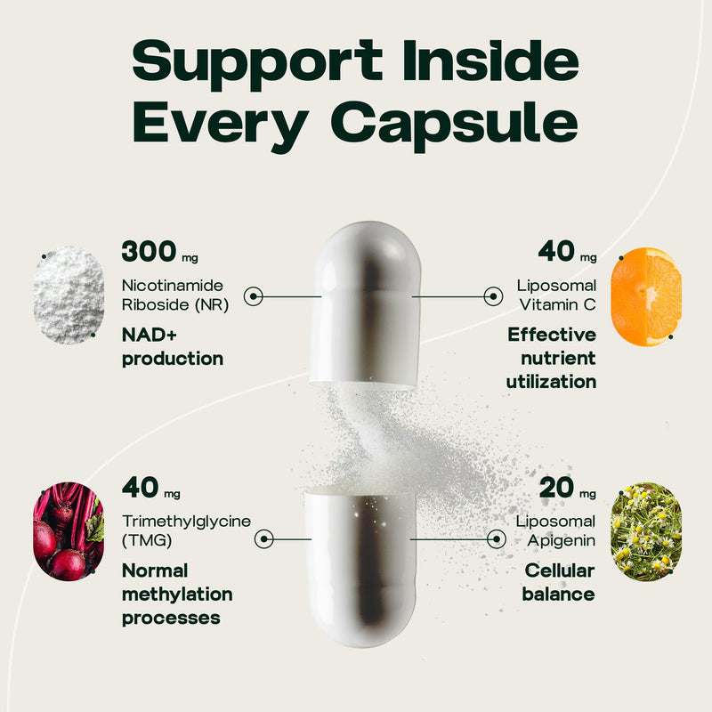 NAD+ Synergy - Multi-Action 4-in-1 NR System with Liposomal Delivery - 98% Pharmaceutical-Grade Purity - Made in EU - 2 Month Supply