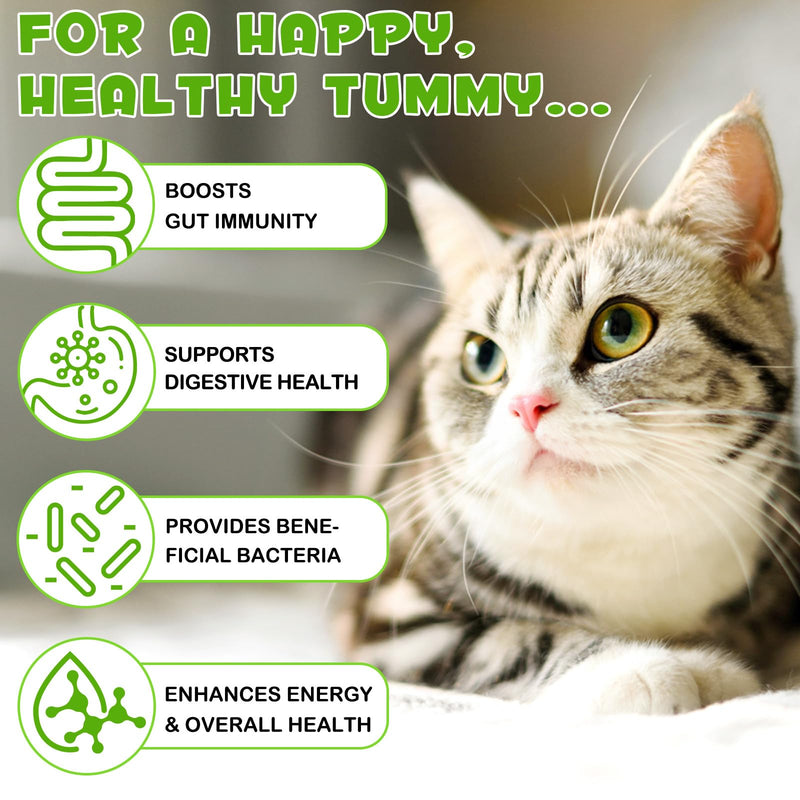 Probiotic for Cats, Natural 3 in 1 Cat Probiotic Drops Helps to Relieve Diarrhea, Supports Gut Health, Itchy Skin Relief, Allergies & Immunity, Digestive Enzyme Cat Supplement Drops - 60 ml / 2 fl.oz - PawsPlanet Australia