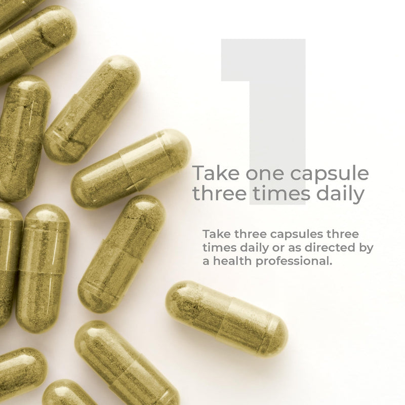 [Australia] - Premier Research Labs Premier Noni - Organic Noni Capsules, Noni Fruit Powder Pills, Noni Extract Supplement for Gut Health, Energy & Immune Health Support - 60 Vegetarian Capsules 