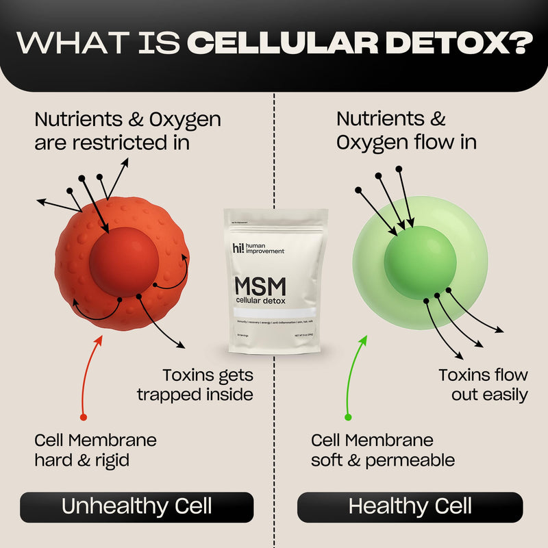 [Australia] - Pure MSM Powder | Organic Sulfur Powder for Skin, Hair, and Nails | Cellular Detox, Joint Health, Immune Boost, & Increased Energy | 99.9% Pure MSM Supplement | Made in the USA, 0g Sugar (64 Servings) 