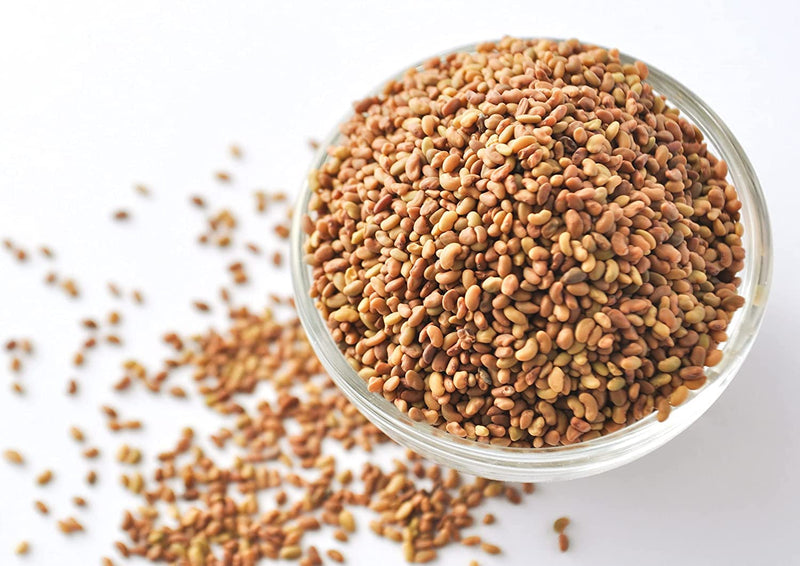 [Australia] - Food to Live Organic Alfalfa Sprouting Seeds, 1 Pound - Non-GMO, Kosher, Sproutable, Raw 1 LB 