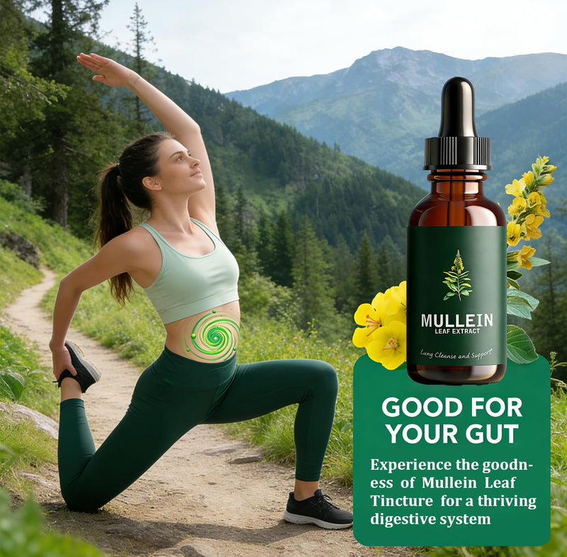 Mullein Leaf Extract Liquid Drops 60ml with Chlorophyll, Super Concentrated Alcohol-Free Tincture for Lung Cleanse & Respiratory Health, Fast Absorption Herbal Supplement