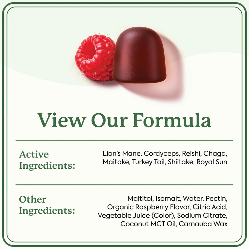 [Australia] - Plant People WonderDay Mushroom Gummies - Lion‚Äôs Mane, Cordyceps, Chaga Mushroom Supplement to Support Immune System De-Stress Boost Mood & Energy in Adults Natural, Vegan, Non-GMO (60 Count) 60 Count (Pack of 1) 