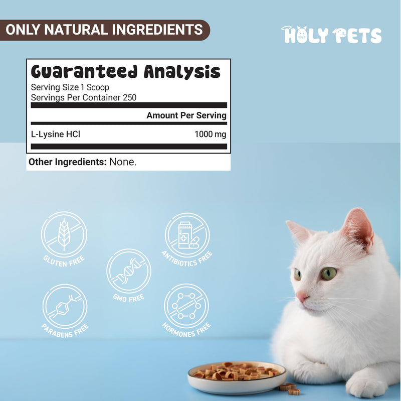[Australia] - 100% Pure L-Lysine Powder for Cats ‚Äì No Fillers, Additives or Preservatives ‚Äì 1,000mg per Scoop ‚Äì Immune, Respiratory & Eye Support ‚Äì Helps with Sneezing, Runny Nose & Cold Symptoms 