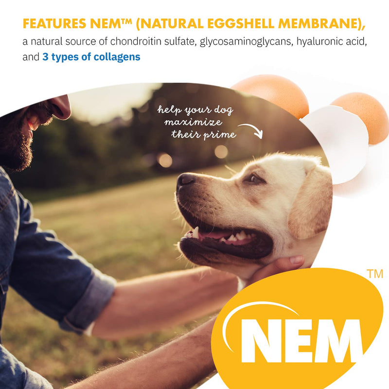 HealthyFlex Canine™ Joint + Mobility Dietary Supplement for Dogs, Natural Eggshell Membrane NEM Formula 120 Servings - PawsPlanet Australia