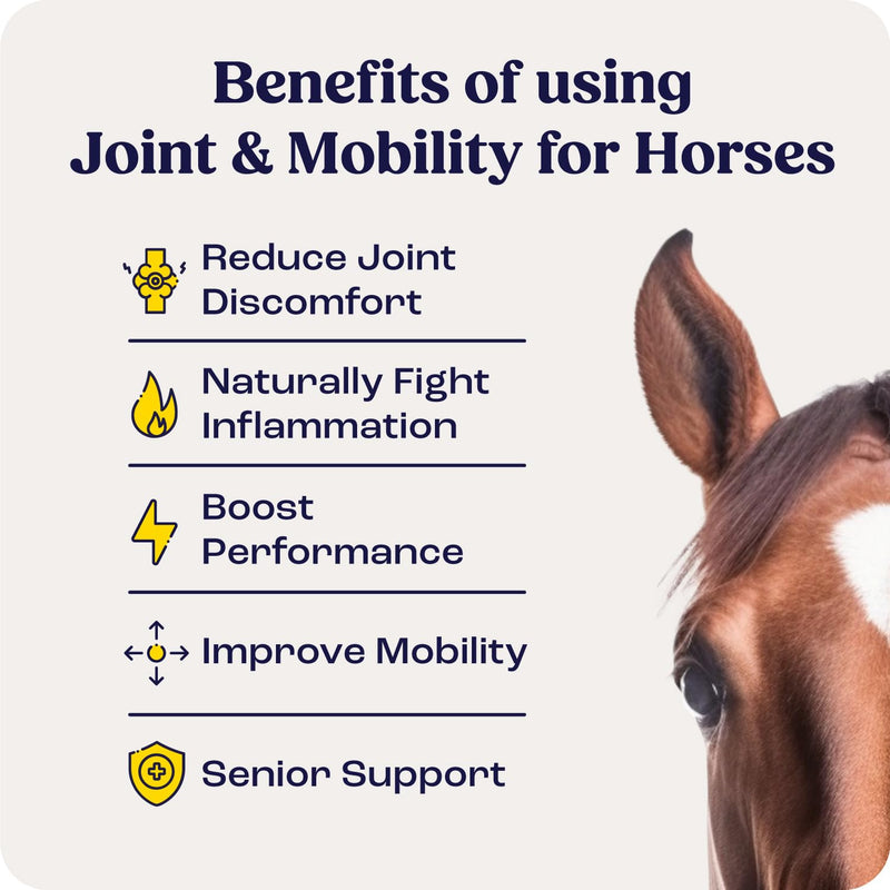 Summit Equine Joint & Mobility Bites Daily Supplement for Horses, Liposomal Delivery, Max Absorption, Vet Recommended, All-Natural Ingredients, 100% Drug-Free, Healthy Joints - 30 Bites - PawsPlanet Australia