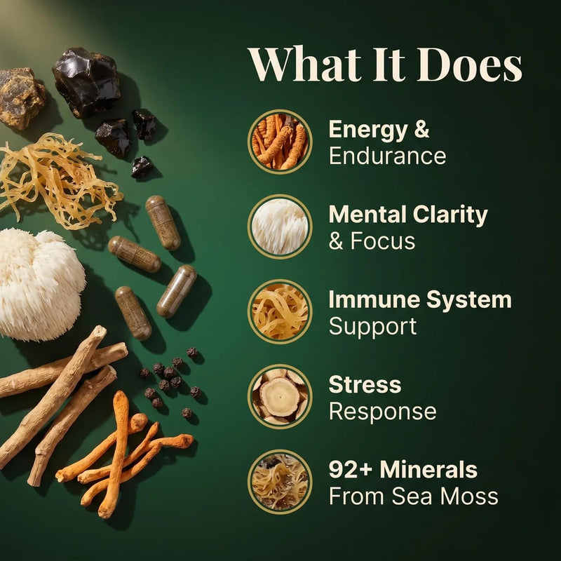 PURETREX Shilajit Seamoss Vegan Supplement 120 Capsules – Made in UK Lion’s Mane Ashwagandha Cordyceps Complex for Energy Focus Brain Support Immunity & Daily Wellness