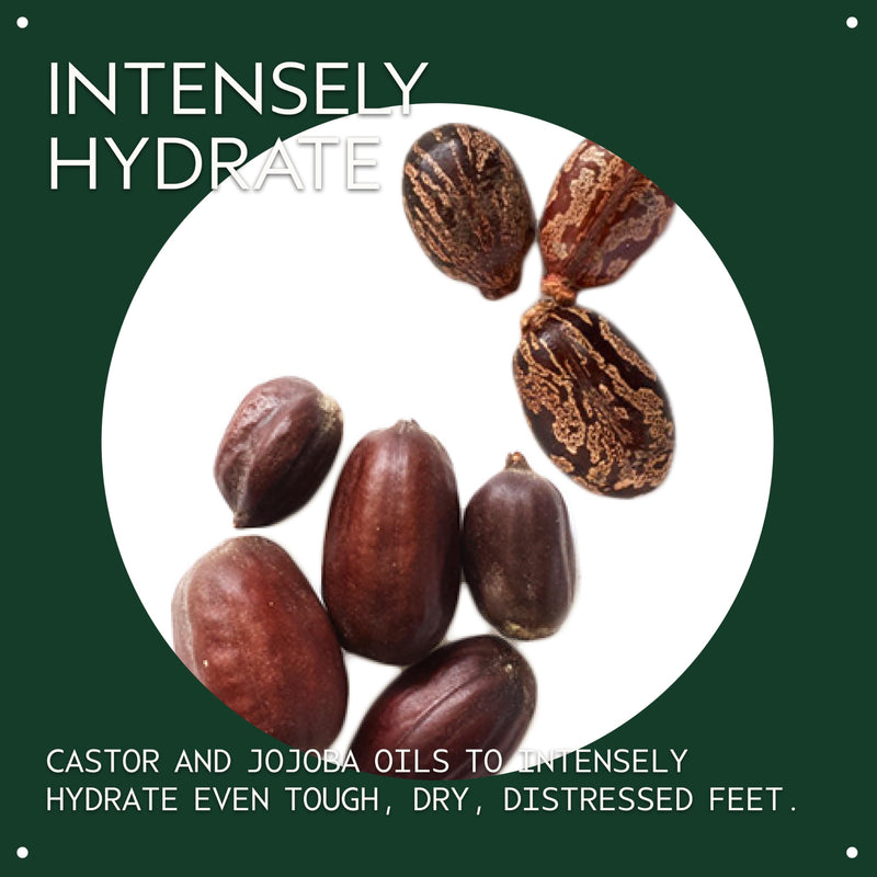 Aveda Foot Relief Moisturizing Creme | Exfoliates, Softens & Smooths Dry Feet | with Jojoba, Peppermint, Tea Tree, Castor Oils, 4.2 Fl Oz 4.2 Fl Oz (Pack of 1)