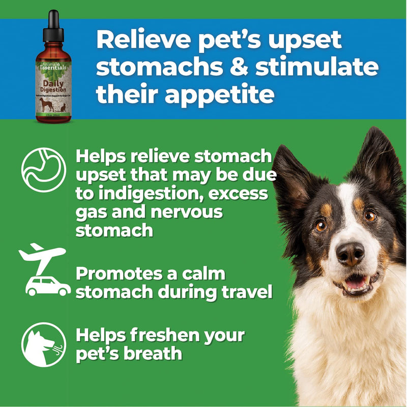 Animal Essentials Daily Digestion for Dogs & Cats - Digestive Support, Fresh Breath, Ginger Root, Fennel Seed Extract, Liquid Supplement - 2 Fl Oz 2 fl oz (60 ml) (Pack of 1) - PawsPlanet Australia