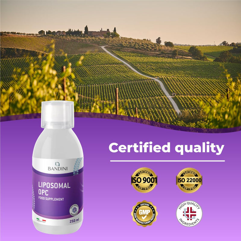 Bandini® Liposomal OPC Liquid 250ml - Grape Seed Extract High Strength with 95% OPC - 200 mg per Daily dose - Natural Antioxidant Supplement - Optimal Absorption & bioavailability - 25 Days Supply