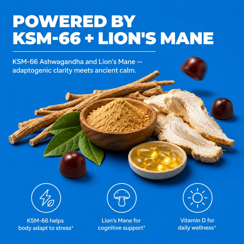 Ashwagandha KSM 66 Lions Mane Gummies 3 Pack 180 Count | Vitamin D, lemon balm and ginger, vegan, non GMO, gluten free, Kosher certified, mixed berry flavor, 90 day supply 60 Count (Pack of 3)