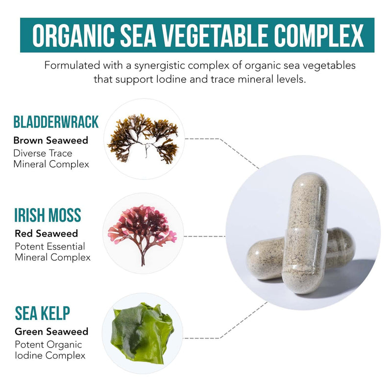 [Australia] - Organic Iodine Supplement from Sea Vegetable Complex, Whole Food & Raw Form - Iodine Plus Trace Mineral Complex – Contains Purest Icelandic Sea Kelp, Irish Moss & Bladderwrack (250 mcg) 60 Count (Pack of 1) 