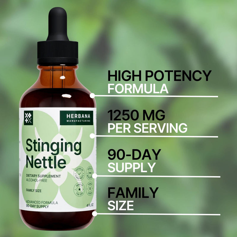 [Australia] - Stinging Nettle Leaf and Root 4 fl oz Liquid Extract - Natural Urinary & Kidney Support for Man and Woman - Organic Urtica Dioica - High Potency Herbal Supplement - 90-Day Supply 4 Fl Oz (Pack of 1) 