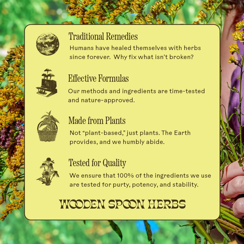 [Australia] - Wooden Spoon Herbs Brain Bloom | USDA Certified Organic Brain Supplement for Memory & Focus | 8 Herb Complex with Rosemary, Bacopa, & Lion's Mane | Gluten-Free, Non-GMO, Vegan (60 CT, Capsules) 