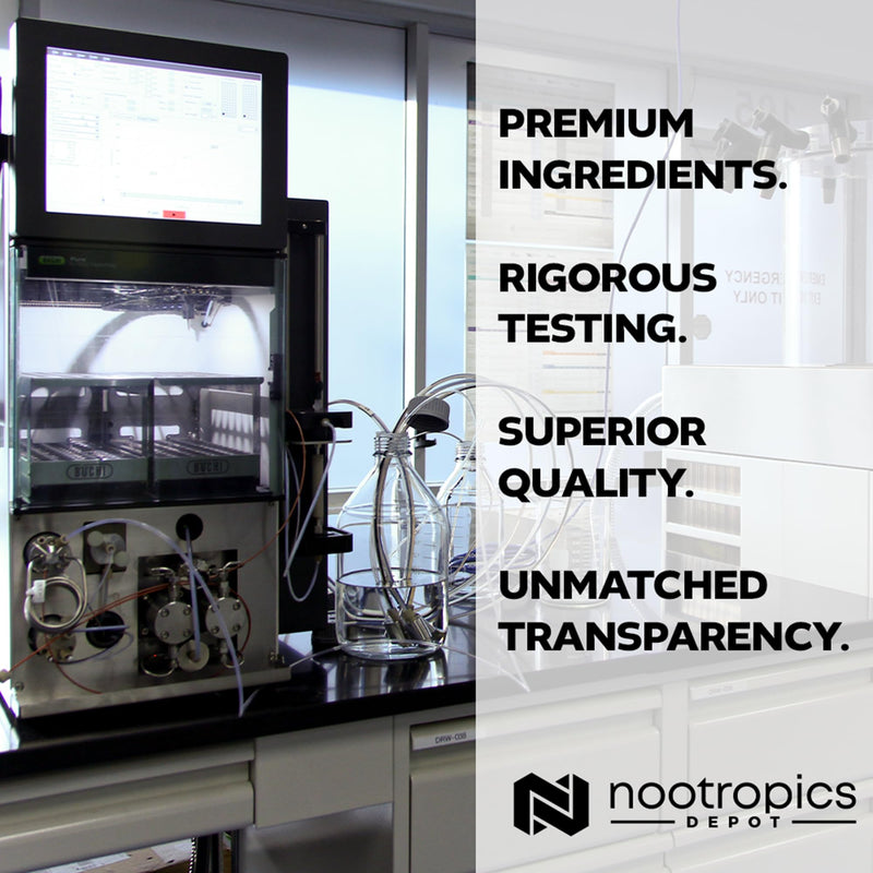 [Australia] - Nootropics Depot Cognizin Citicoline Capsules | 60 Count | Choline Supplement | Brain Health Supplement | Regulates Memory and Cognitive Function | Supports Attention, Focus and Recall 60 Count (Pack of 1) 